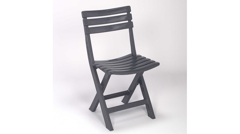 Silla plegable birki antracita bir80can progarden